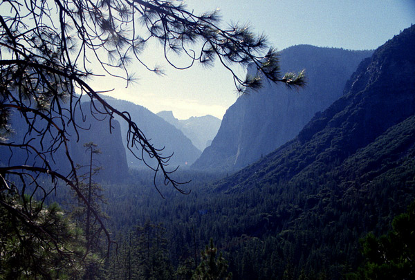 Terugblik op Yosemite Park