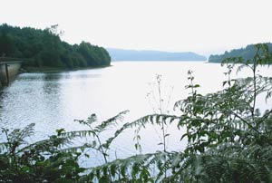 Het meer van Raviege bij Salvetat
