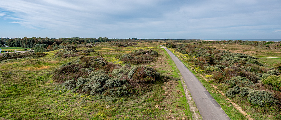 duinlandschapP1070363