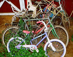 Een begroeide fiets